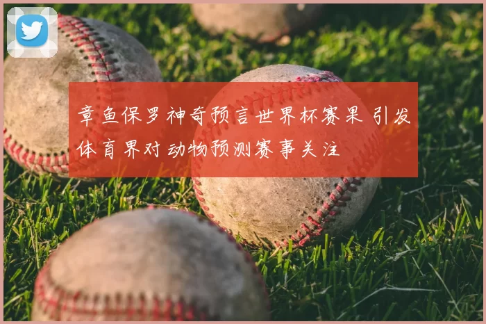 章鱼保罗神奇预言世界杯赛果 引发体育界对动物预测赛事关注