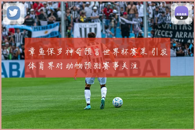 章鱼保罗神奇预言世界杯赛果 引发体育界对动物预测赛事关注